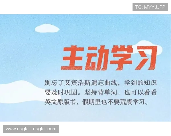 必赢的行动指南：每日坚持的小习惯带来巨大胜利