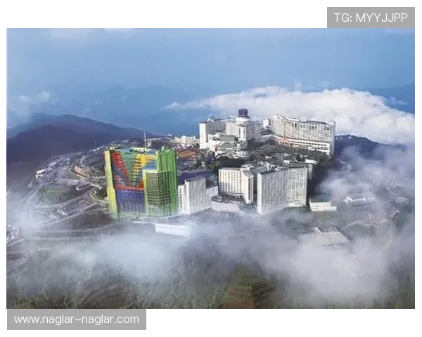全讯网娱乐场如何选择最适合自己的线上娱乐平台指南