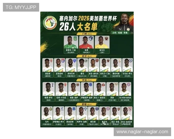 世界杯塞内加尔对阵伊拉克最近交锋战绩分析与比赛亮点回顾